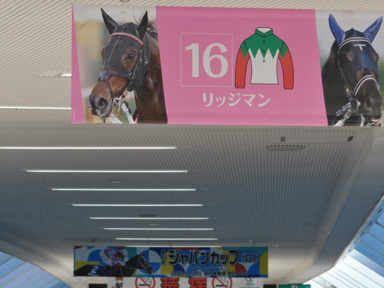 2022/11/27 東京12R