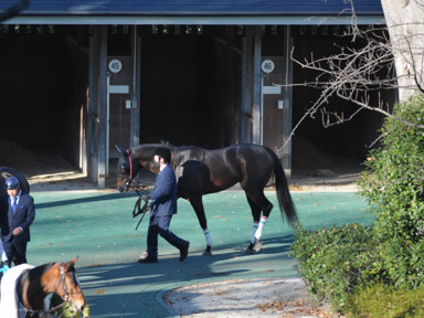 2022/11/27 東京12R