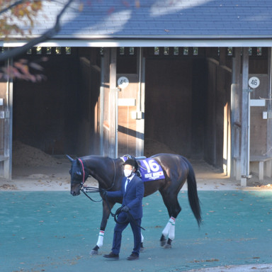 2022/11/27 東京12R