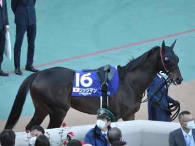 2022/11/27 東京12R