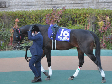 2022/11/27 東京12R
