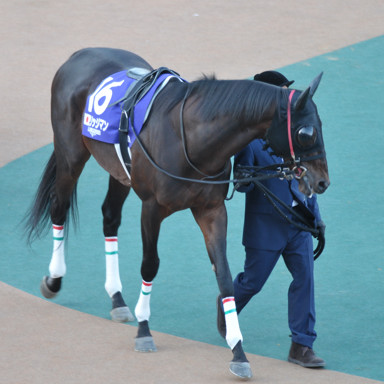 2022/11/27 東京12R