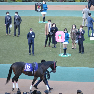2022/11/27 東京12R