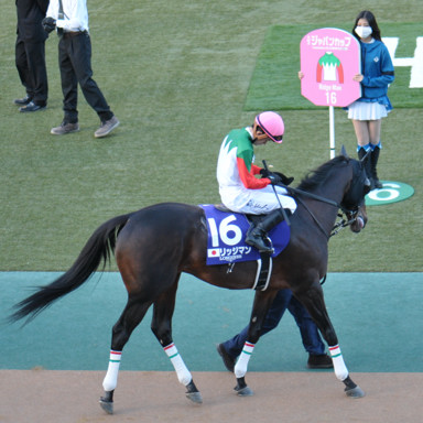 2022/11/27 東京12R
