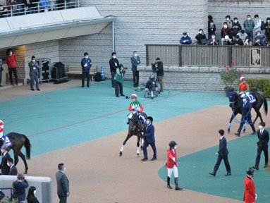 2022/11/27 東京12R