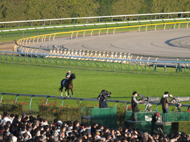 2022/11/27 東京12R