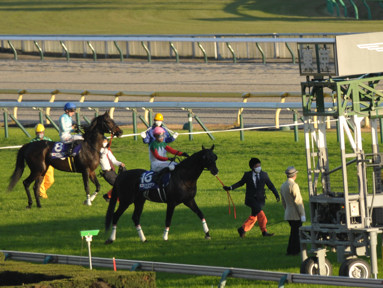 2022/11/27 東京12R