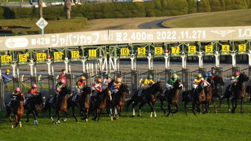 2022/11/27 東京12R
