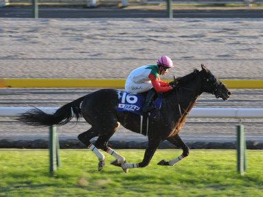 2022/11/27 東京12R