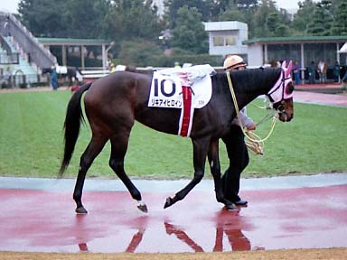 2002/12/21 ’†‹ž12R