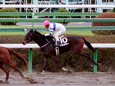2001/01/08 中山09R