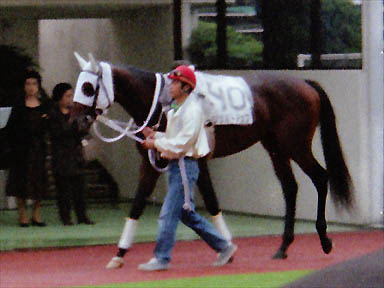 1997/10/04 東京12R