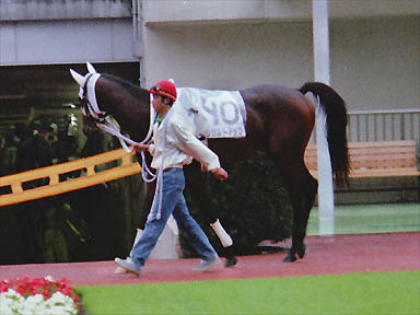 1997/10/04 東京12R