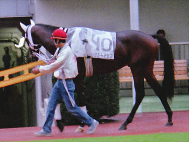 1997/10/04 東京12R