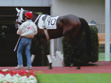 1997/10/04 東京12R