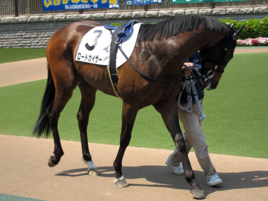 2010/05/02 東京08R