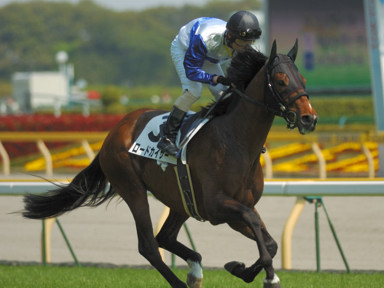 2010/05/02 東京08R