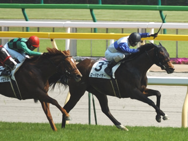 2010/05/02 東京08R