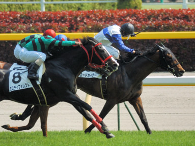 2010/05/02 東京08R