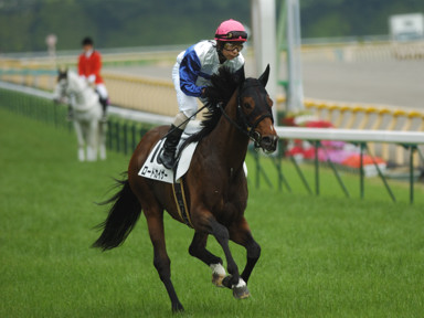 2010/05/22 東京08R