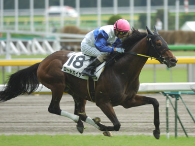 2010/10/17 東京07R