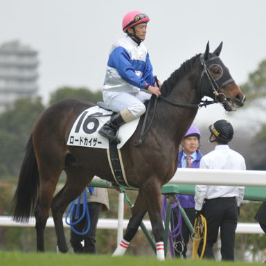 2011/03/06 中山08R