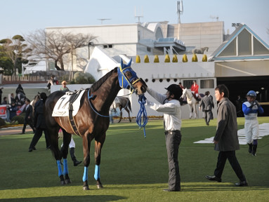 2018/03/17 中山12R