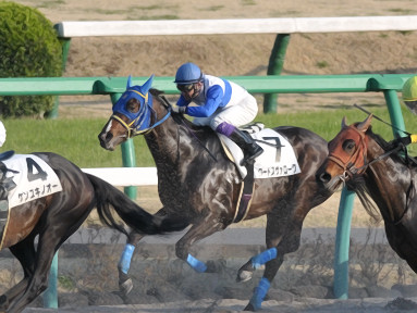 2018/03/17 中山12R