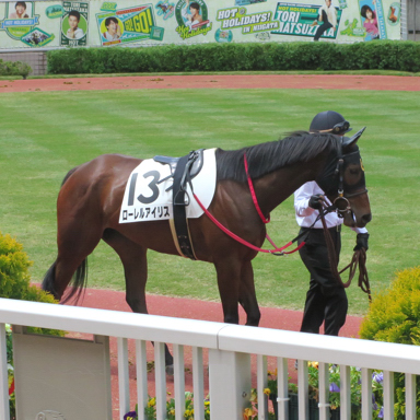 2021/05/09 新潟07R