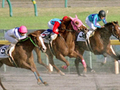 2000/04/23 東京12R