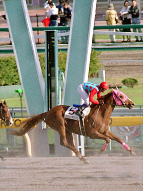 2000/04/23 東京12R