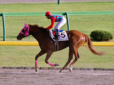 2000/04/23 東京12R