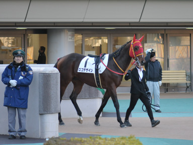 2024/01/27 東京12R