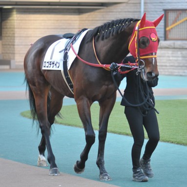 2024/01/27 東京12R