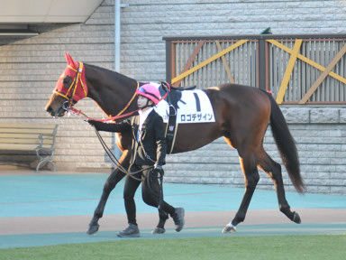 2024/01/27 東京12R