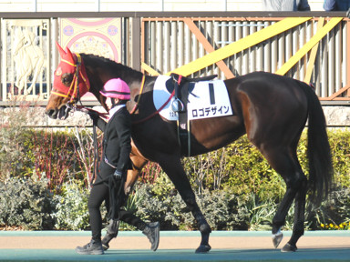 2024/01/27 東京12R
