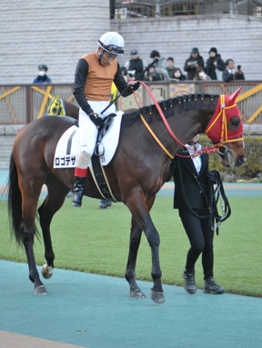 2024/01/27 東京12R