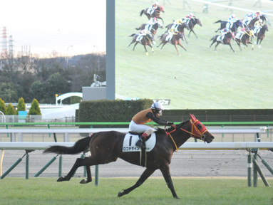 2024/01/27 東京12R