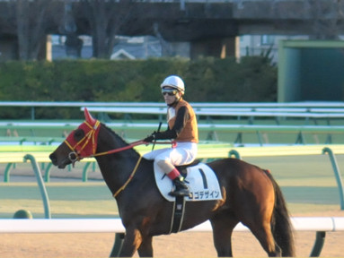 2024/01/27 東京12R