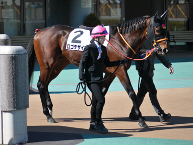 2024/02/11 東京06R