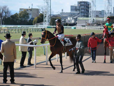 2024/02/11 東京06R