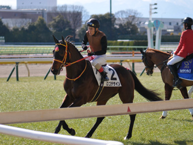 2024/02/11 東京06R