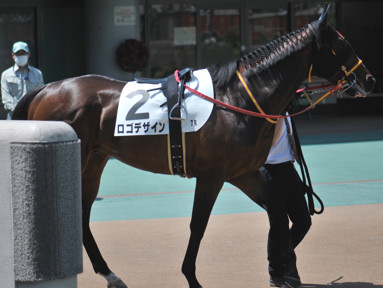 2024/04/28 東京07R