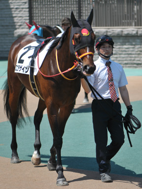 2024/04/28 東京07R