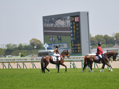 2024/04/28 東京07R