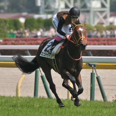 2024/04/28 東京07R