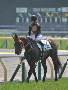 2024/04/28 東京07R