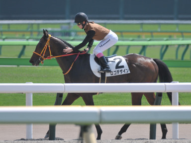 2024/04/28 東京07R
