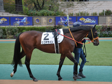 2024/11/10 東京12R