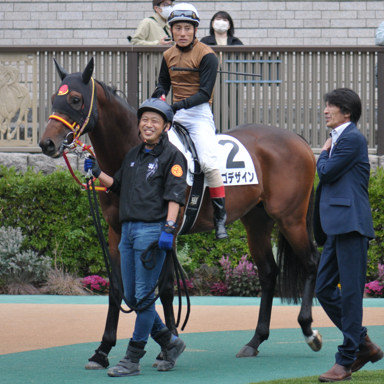 2024/11/10 東京12R